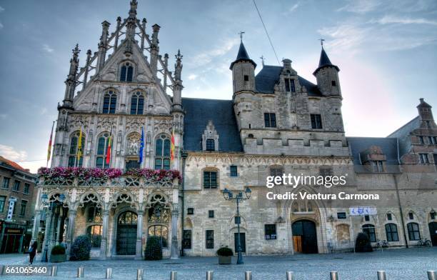 mechelen city hall - belgium - städtischer platz stock pictures, royalty-free photos & images