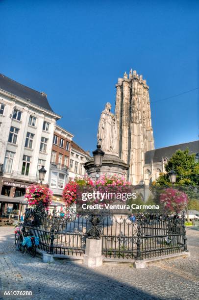 statue of the archduchess margaret of austria in mechelen, belgium - städtischer platz ストックフォトと画像