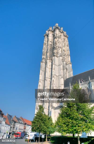 sint-romboutskathedraal - mechelen, belgium - städtischer platz stock pictures, royalty-free photos & images