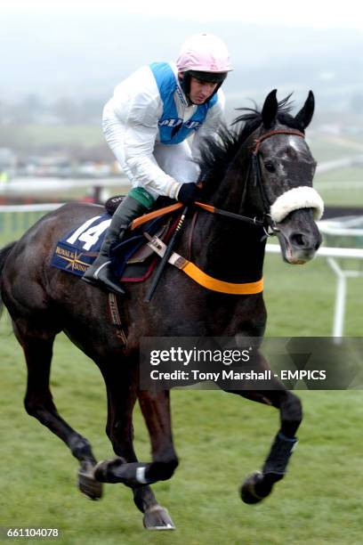 Shane Shortall 33 The Roman Novices Stock Photos, High-Res Pictures, and Images ...