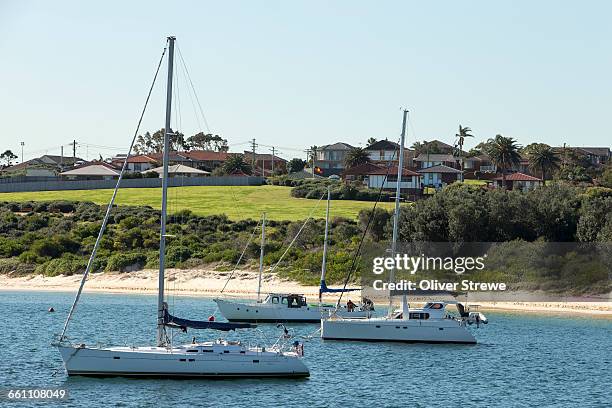 frenchmans beach, botant bay - botany bay stock pictures, royalty-free photos & images