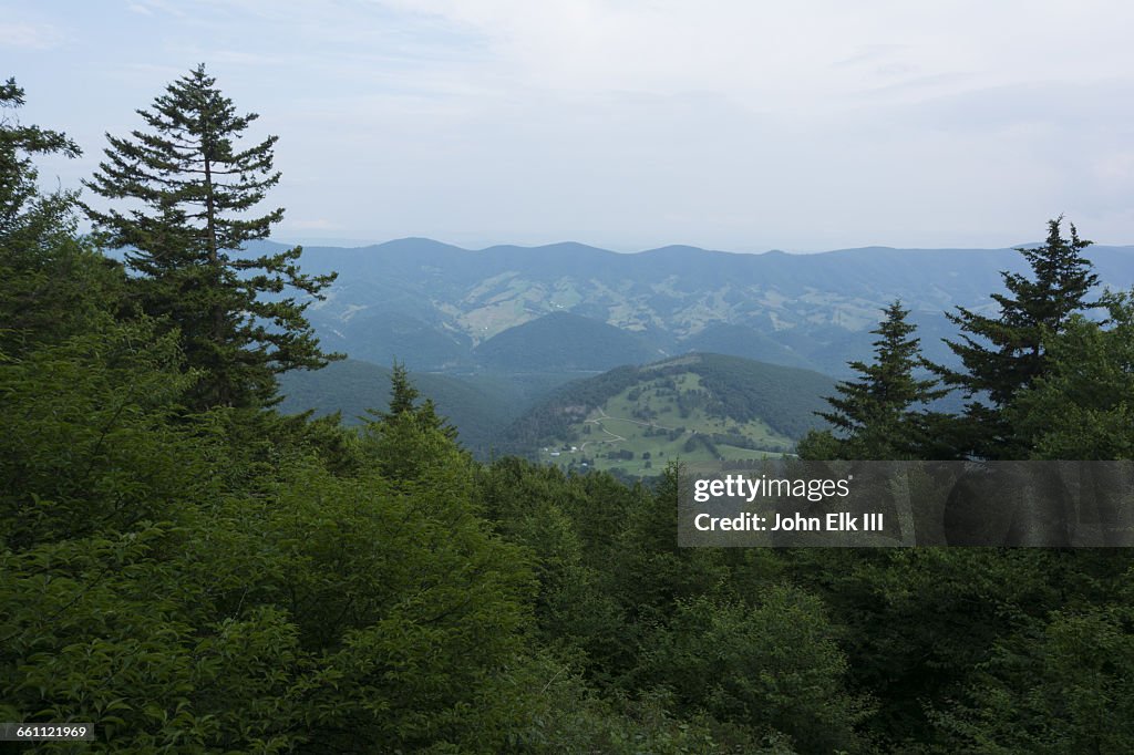 West Virginia, Spruce Knob, landscape