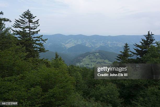 west virginia, spruce knob, landscape - spruce knob mountain stock pictures, royalty-free photos & images