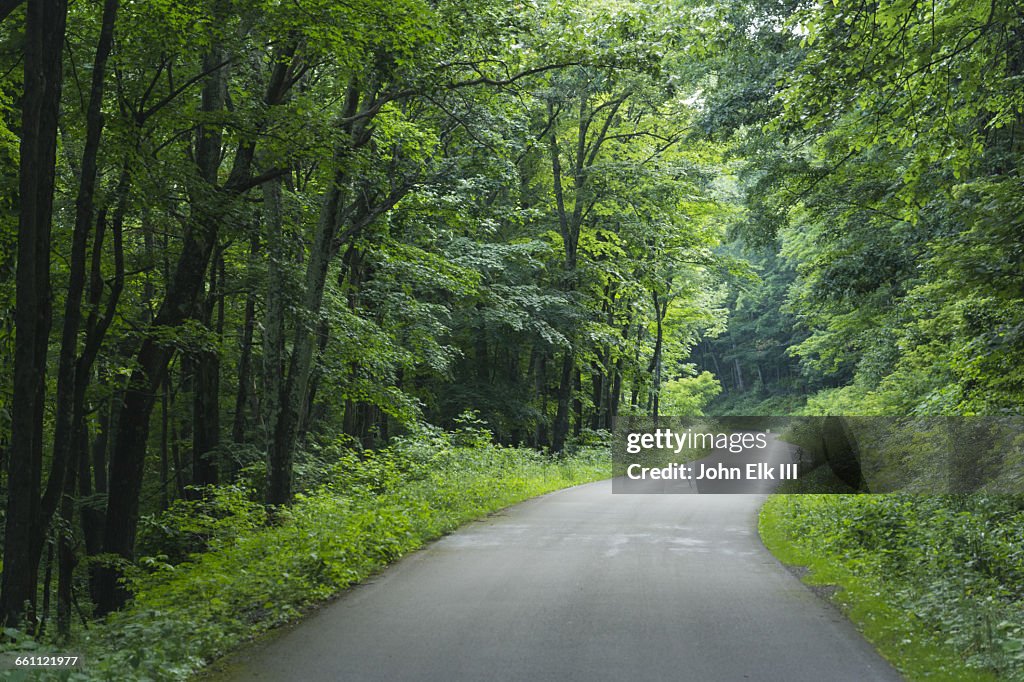 West Virginia, Spruce Knob, landscape