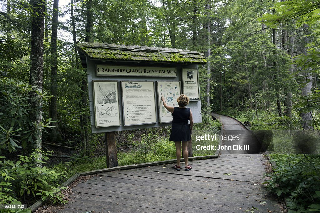 W Virginia, Cranberry Glades, visitor on boardwalk