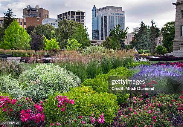 downtown boise, idaho - boise stockfoto's en -beelden