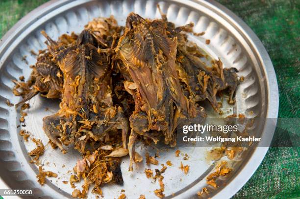 Computer Mouse Fried 127 Mice For Sale Stock Photos, High-Res Pictures, and Images - Getty ...