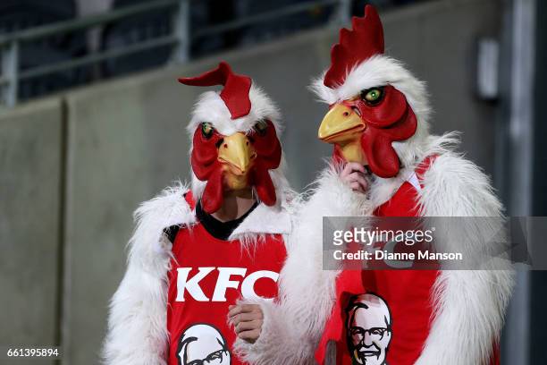Chicken mascots look on during the round six Super Rugby match between the Highlanders and the Rebels at Forsyth Barr Stadium on March 31, 2017 in...