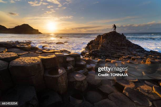 the giant's causeway - giants causeway bildbanksfoton och bilder