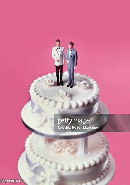 gay civil partnerships wedding cake - wedding cake figurine photos et images de collection