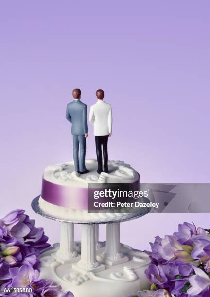 homosexual grooms on wedding cake - wedding cake figurine photos et images de collection