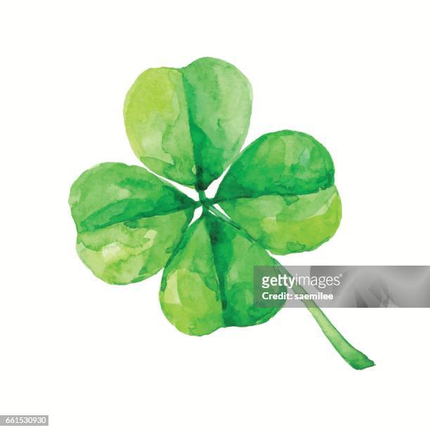 ilustraciones, imágenes clip art, dibujos animados e iconos de stock de acuarela 4 leaf clover - clover