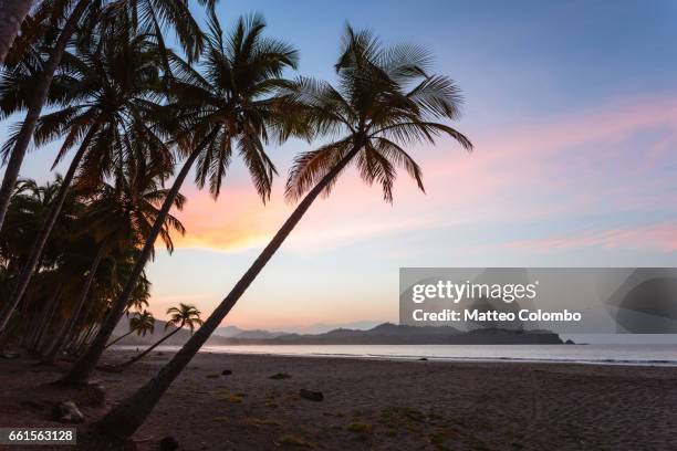 sunrise over exotic sandy beach with palm trees, costa rica - playa carrillo stock-fotos und bilder