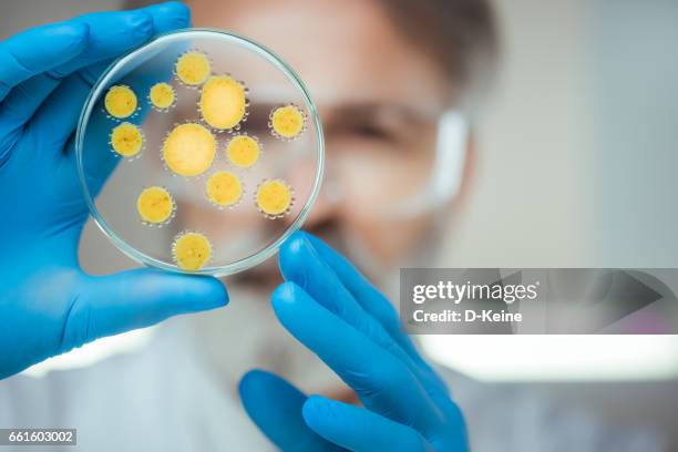 laboratorium - microbiome stockfoto's en -beelden