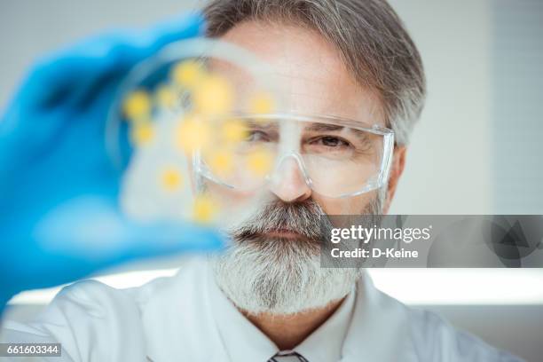 laboratory - innovation lab stock pictures, royalty-free photos & images