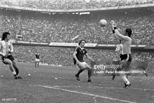 Argentina goalkeeper Hector Rodolfo Baley claims the ball ahead of Scotland's Willie Johnston , watched by teammates Rene Houseman and Daniel...