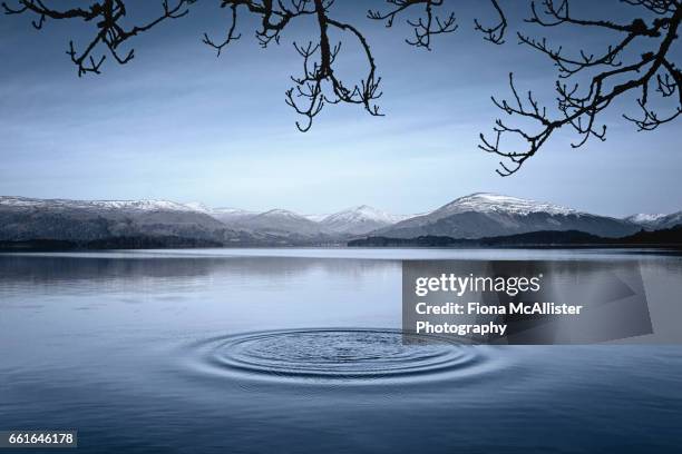 the ripple effect - water ripple stockfoto's en -beelden