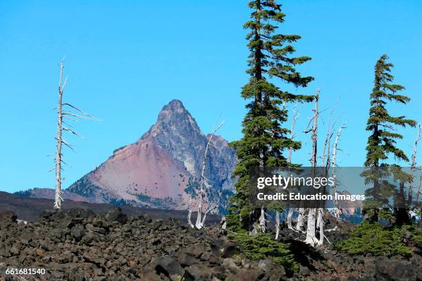 Foot elevation Mount Washington a volcanic peak in the Willamette National Forest in the Cascade Mountains of Oregon viewed from the south among lava...