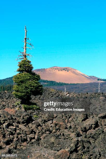 Foot elevation Belknap Crater and cinder cone viewed from McKenzie Pass in the central Cascade Mountains of Oregon, Belknap Crater is located in...
