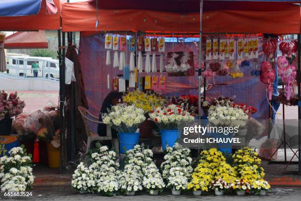 flowers shop manila - magasin de fleurs stock-fotos und bilder