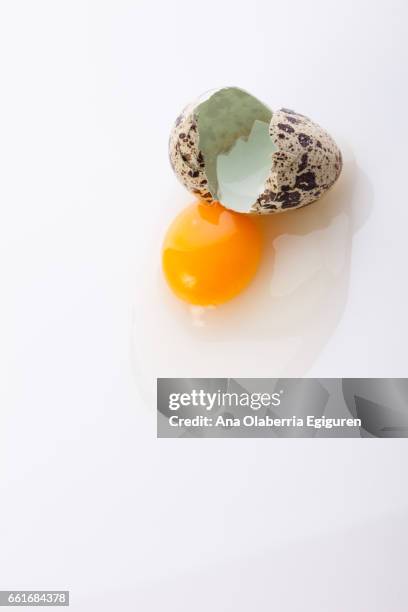 huevo de codorniz roto sobre fondo blanco reflejado - comida sana ストックフォトと画像