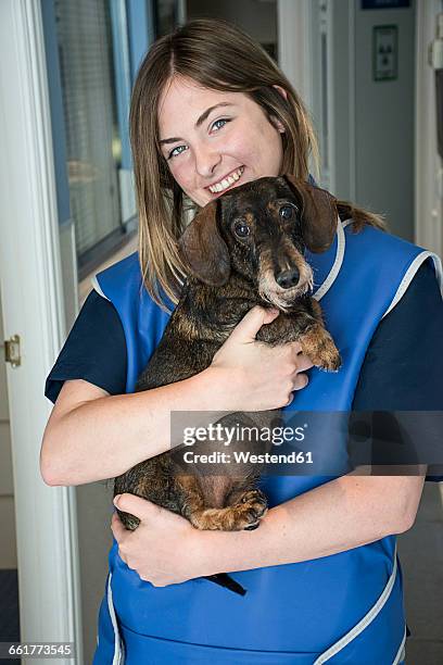 portrait of smiling veterinarian holding dog in her arms - wire haired dachshund stock pictures, royalty-free photos & images