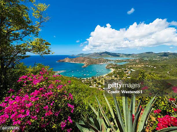 west indies, antigua and barbuda, antigua, english harbour and windward bay - antigua and barbuda stock pictures, royalty-free photos & images