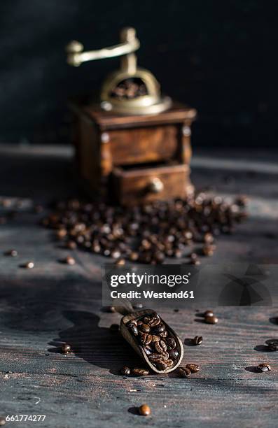 grinding coffee with vintage coffee mill - coffee grinder 個照片及圖片檔