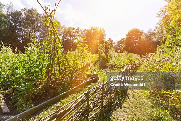 germany, bavaria, urban communal garden - fences 2016 film stock-fotos und bilder