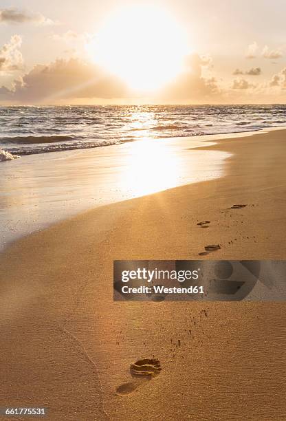 dominican rebublic, footprints in sand at tropical beach at sunset - beach footprints stock pictures, royalty-free photos & images