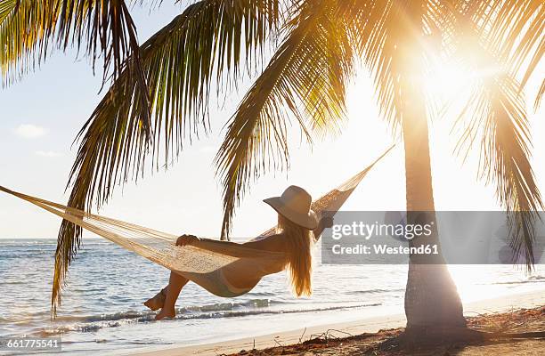 dominican rebublic, young woman in hammock looking out over tropical beach - peeple of caribbean stock-fotos und bilder