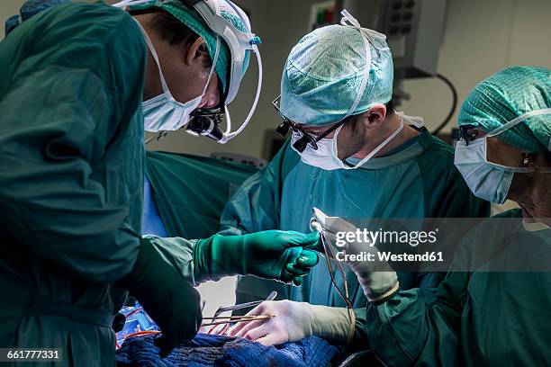 heart surgeons and operating room nurse during a heart valve operation - operating room stockfoto's en -beelden