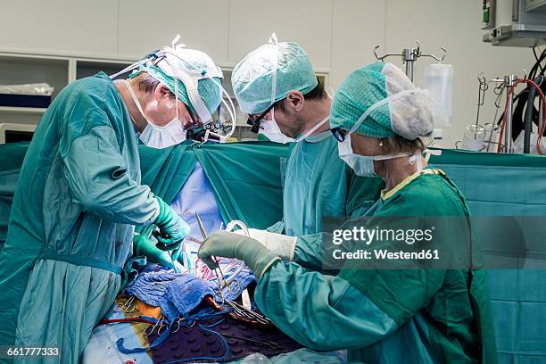 heart surgeons and operating room nurse during a heart valve operation - heart valve stock-fotos und bilder