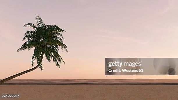 palm tree on the beach at dusk, 3d rendering - romantischer sonnenuntergang stock-grafiken, -clipart, -cartoons und -symbole
