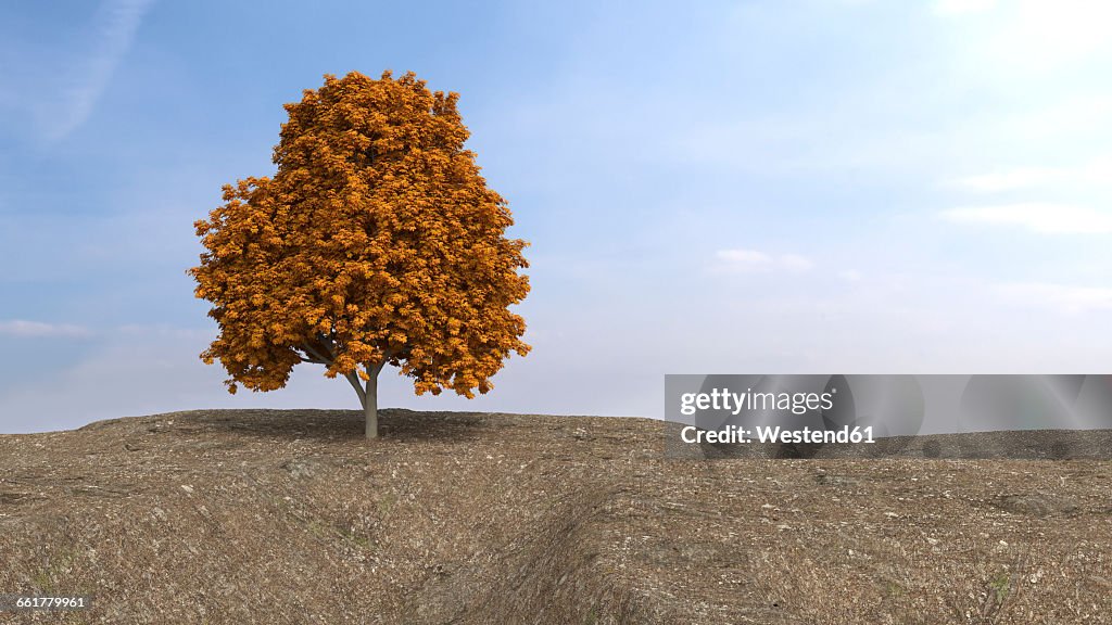 Autumnal sugar maple on high plateau, 3D Rendering