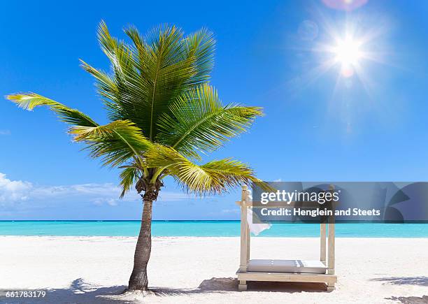 beach daybed next to palm tree on beach, dominican republic, the caribbean - chaise longue stock pictures, royalty-free photos & images