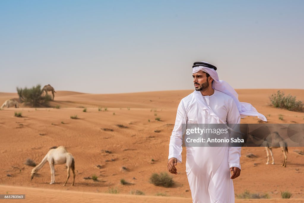 Middle eastern man wearing traditional clothes walking away from camels in desert, Dubai, United Arab Emirates