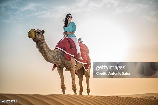 female tourist riding camel in desert, dubai, united arab emirates - cammello foto e immagini stock