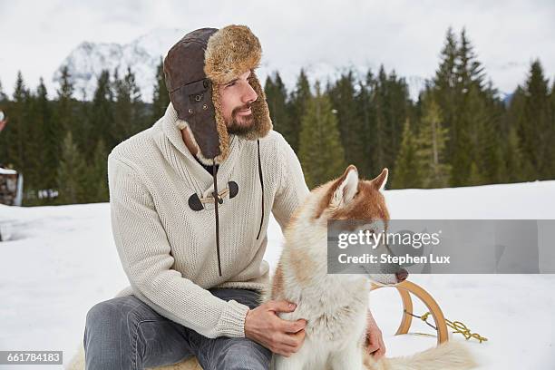 young man wearing trapper hat petting husky in snow, elmau, bavaria, germany - jägermütze stock-fotos und bilder