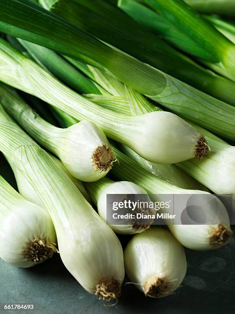 Spring Scallion 19,397 Scallion Stock Photos, High-Res Pictures, and Images - Getty Images