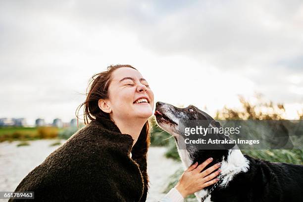 cheerful young woman playing with dog on beach against sky - dog and owner stock pictures, royalty-free photos & images