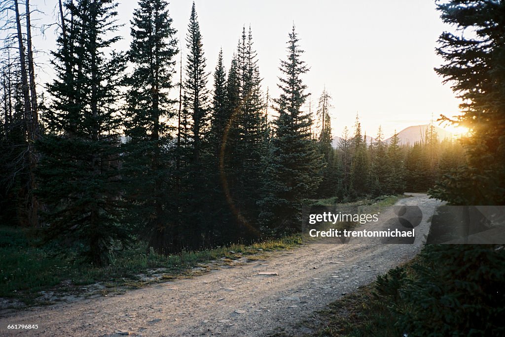 Road through High Uintas Wilderness area, utah, America, USA