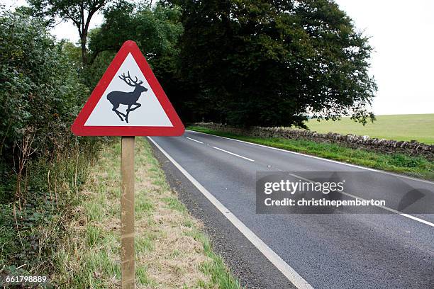 deer crossing sign on road, cotswolds, gloucestershire, england, uk - deer crossing stock pictures, royalty-free photos & images