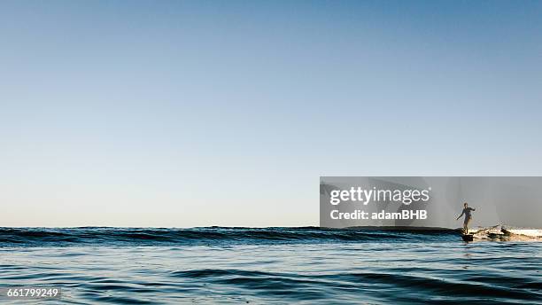 woman surfing, malibu, california, america, usa - malibu stock pictures, royalty-free photos & images