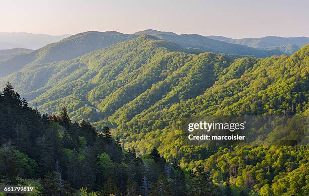 great smoky mountain, bryson city, tennessee, america, usa - montañas apalaches fotografías e imágenes de stock