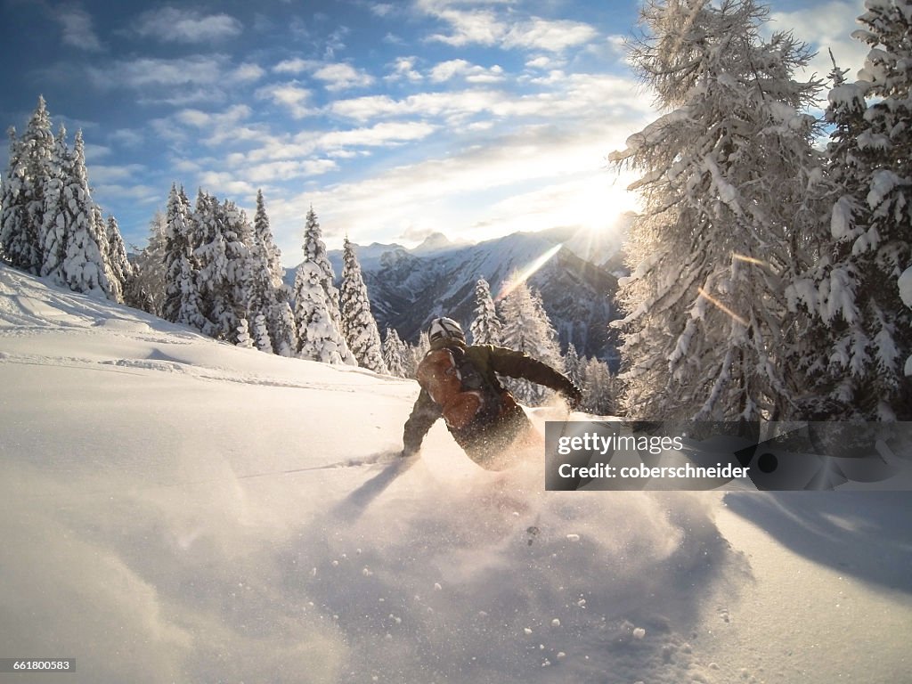 Man powder skiing, Alps, Zauchensee, Austria