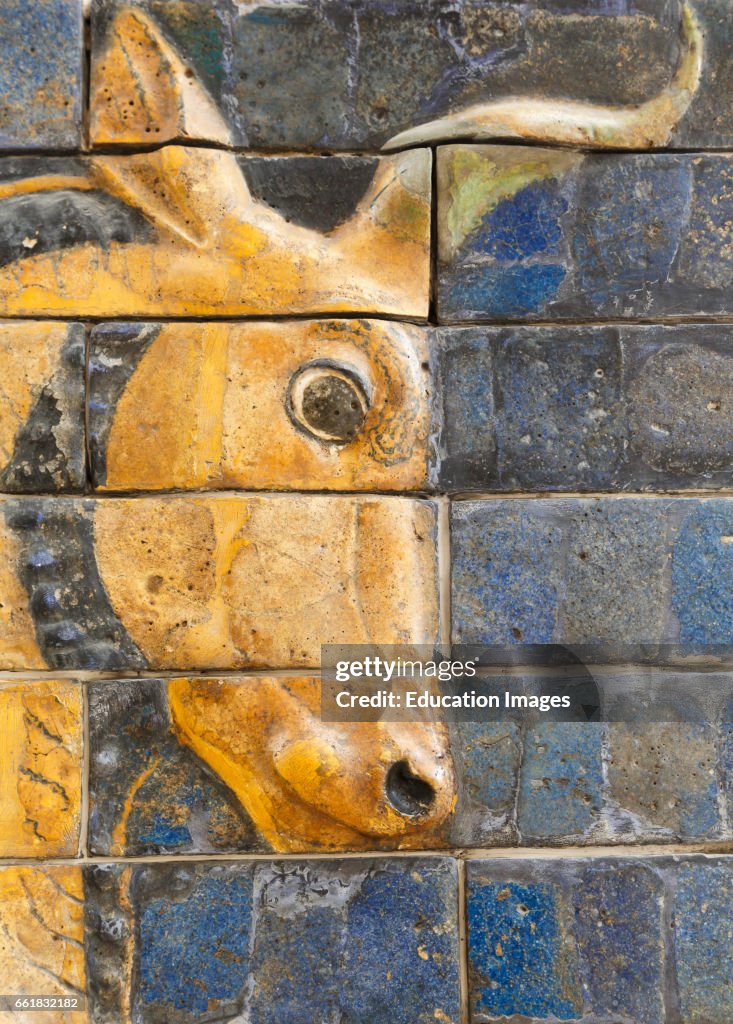 Istanbul, Turkey, Archeological Museum, Glazed brick bull in relief from the Ishtar Gate, Babylon