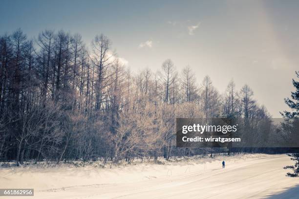 hachimantai ski resort - 岩手山 ストックフォトと画像