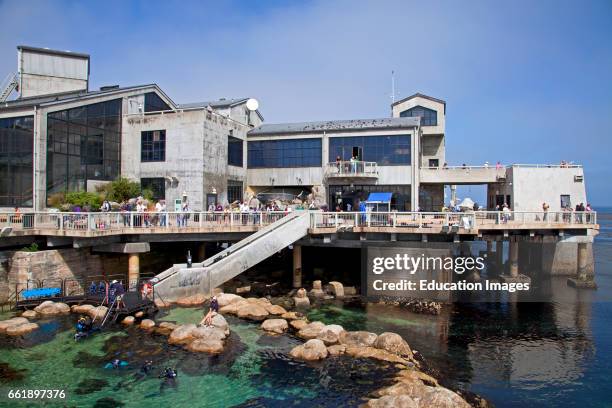 Monterey Bay Aquarium.