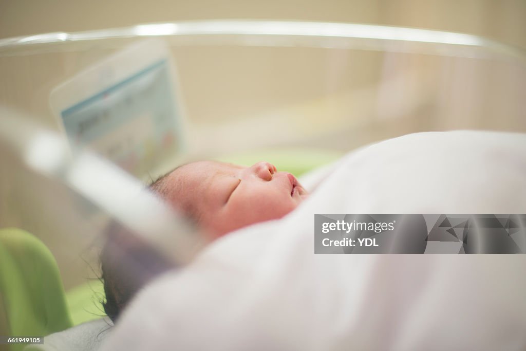 A newborn baby sleeps in an infant incubator.